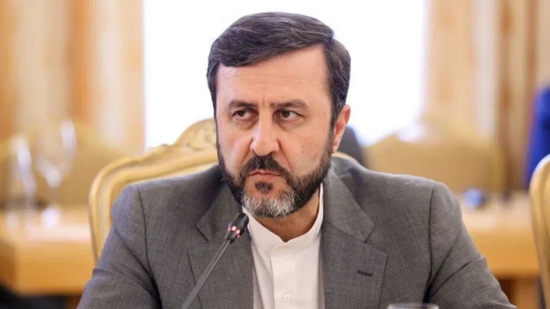     صیہونی حکومت بین الاقوامی اصولوں کی کھلی خلاف ورزی کی مرتکب: ایرانی نائب وزیر خارجہ
