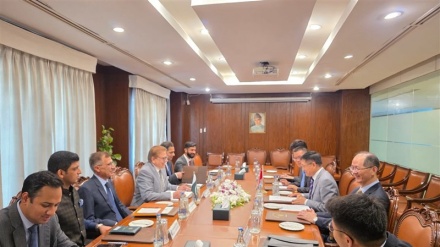 چین و پاکستان در جستجوی راه‌حلی مشترک برای بحران امنیتی افغانستان