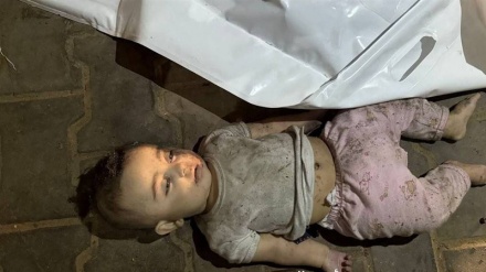 په غزه کې د فلسطیني وګړو نسل وژنه