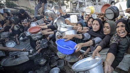 صد سازمان غیردولتی درباره گرسنگی جمعی درنوار غزه  هشدار دادند