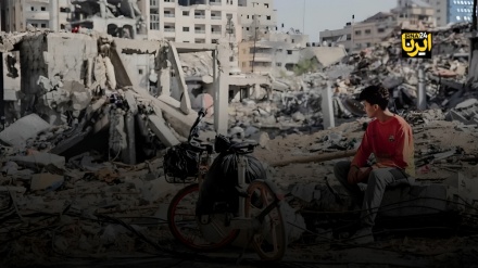 شهادت 113 فلسطینی در جنایات امروز رژیم صهیونیستی