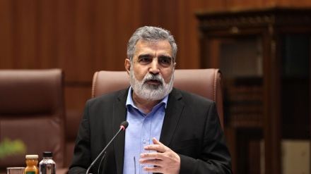  سخنگوی انرژی اتمی ایران: صنعت هسته‌ای در کشور ما ریشه دارد و دوباره خودش را شکوفا می‌کند