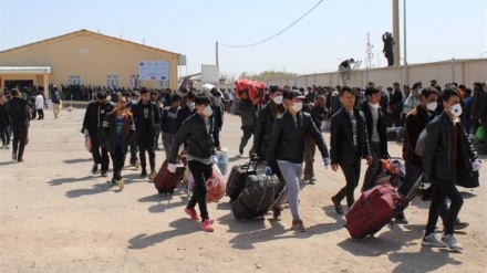 Karsaziya koçberên xwedî zanist û pisporiya îranî li Efxanistanê