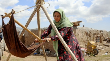 عەشیرەتەکانی کورمانج لە ناوچەی 