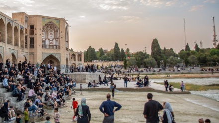 میوانانی زایەندە ڕود