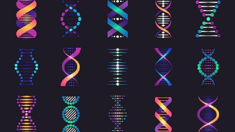 DNA چییە و شێوە جیاوازەکانی چین؟