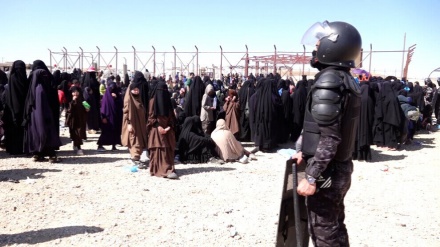 Operasiyona dijî terorê ya HSD`ê li Kempa Holê