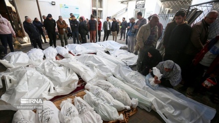 ŠEHADET 61 PALESTINCA U NAPADIMA CIONISTIČKOG REŽIMA  