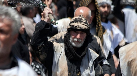 Şîngêriya Aşûrayê li Kirmaşanê
