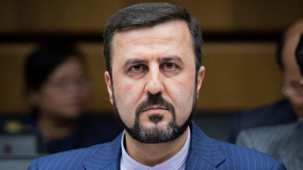 سلامتی کونسل کے اعلیٰ اجلاس میں شرکت ، غریب آبادی نیویارک پہنچ گئے