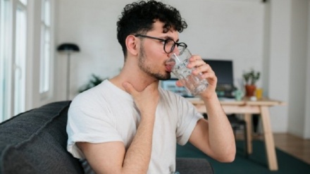 دەنگنووسان
