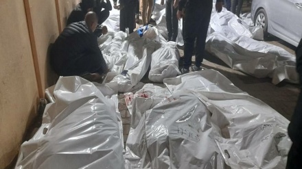 غزہ کے شہدا کی تعداد 57000 سے تجاوز کرگئی