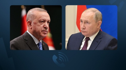 Putin və Ərdoğan Suriyadakı vəziyyəti müzakirə ediblər