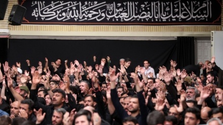 پورے ایران میں گونجتی یا حسین یا حسین کی صدا، مشہد مقدس میں عزاداروں کا سیلاب+ ویڈیو