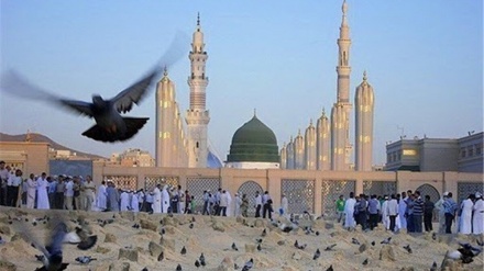 پیغمبر اسلام (ص) کی رحلت اور نواسہ رسولۖ کی شہادت کا غم