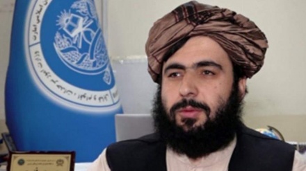 د امریکا غوښتنو په تړاو د فطرت څرګندونې 