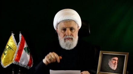 شیخ نعیم قاسم: مزاحمت اپنے ہتھیاروں سے دستبردار نہیں ہوگی