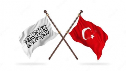 ترکیه و هرات در مسیر تقویت روابط علمی و تربیتی