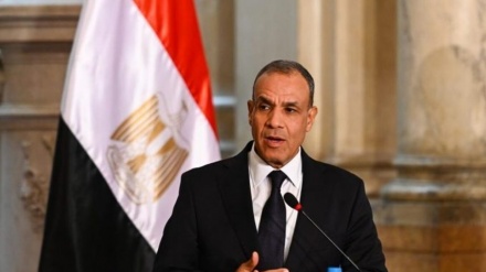 غزہ میں امداد پہنچائی جائے ، مصری وزیر خارجہ