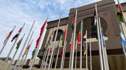 سلامتی کونسل غزہ کے مسئلے پر ہنگامی اجلاس منعقد کرے، او آئی سی کا مطالبہ