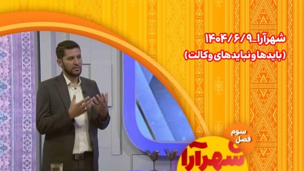 بایدها و نبایدهای وکالت