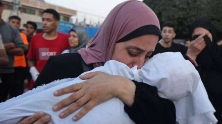 Hejmara şehîdên birçîtiyê li Zîvala Xezzeyê rabû 251 kesî