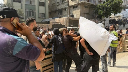 شهادت ۹۸ فلسطینی طی شبانه روز گذشته در غزه
