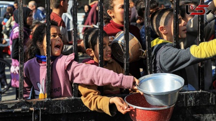 شهادت 94 فلسطینی همزمان با تشدید قحطی در غزه