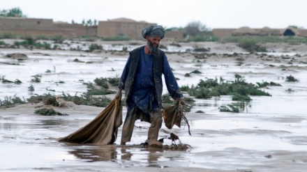 ۵ کشته و ۱۵ زخمی بر اثر وقوع سیلاب در ننگرهار 