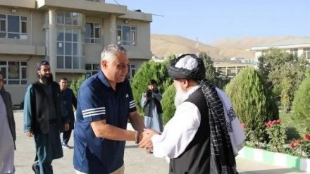 بامیان، قطب نوظهور انرژی: تولید ۸۰۰ مگاوات برق از ظرفیت ملی ۱۰ هزار مگاوات