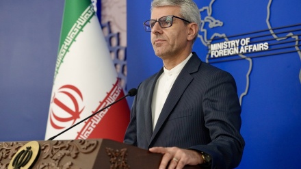 سخنگوی وزارت خارجه ایران : شورای امنیت در برابر خون کودکان غزه مسئول است