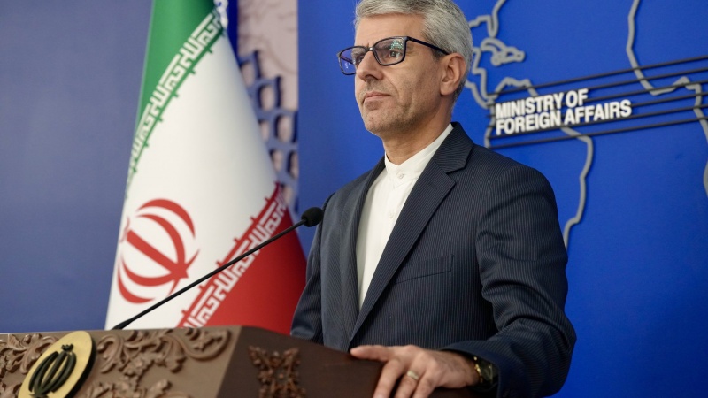 سخنگوی وزارت خارجه ایران : شورای امنیت در برابر خون کودکان غزه مسئول است