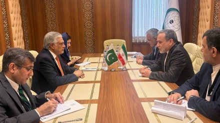 ایران و پاکستان کے وزرائے خارجہ کی ملاقات ، غزہ پر تبادلہ خیال