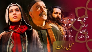 ڈرامہ سیریل - گیل دخت
