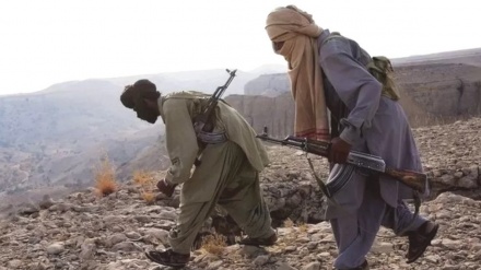  پاکستان کے دوبلوچ علیحدگی پسند گروہوں کو دہشتگرد قرار؛ امریکی وزارت خارجہ