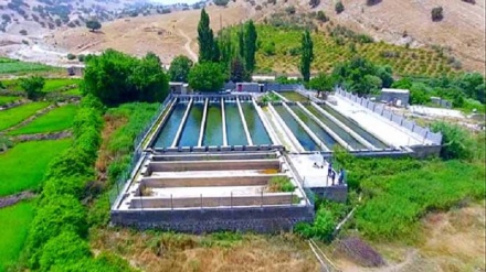 گەشتیاریی ئاوەژی بە هەوڵی خەڵکی کۆڵمی ئیلام