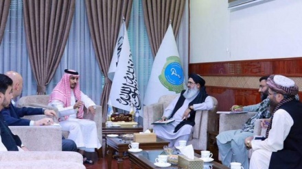 بررسی برنامه‌های آینده صحی در دیدار وزیر صحت عامه با سفیر سازمان همکاری اسلامی
