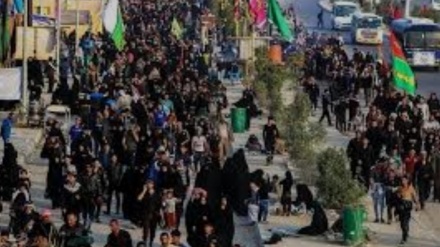 عراق میں اربعین ، امام حسین کے چاہنے والوں کی دیوانگی ، عقیدت کے بے مثال نمونے