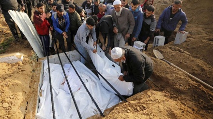 شهادت بیست و چهار فلسطینی  دیگر از بامداد  امروز 