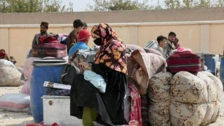 ۸ هزار مهاجر افغانستانی در یک روز به وطن برگشتند
