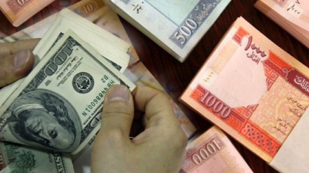 ثبات نسبی در بازار ارز کابل؛ نرخ دالر آمریکا در پایان معاملات ۶۸.۸۱ افغانی