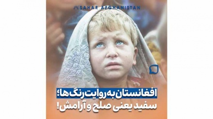 افغانستان به روایت رنگ‌ها | سفید یعنی صلح و آرامشی که آرزوی قلبی هر وطندار است