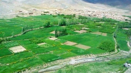 آغاز ساخت لیسه جدید در غزنی با هزینه ۸ میلیون افغانی