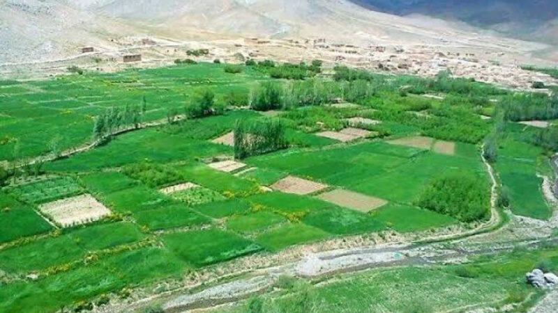 آغاز ساخت لیسه جدید در غزنی با هزینه ۸ میلیون افغانی