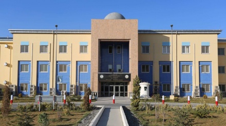 ترافیکي پېښه کې د ۸۰ افغان کډوالو وژل کیدل