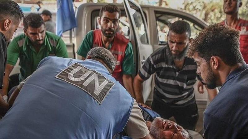 سال خونین برای امدادگران؛ ۲۶۵ جان‌باخته در هفت ماه نخست ۲۰۲۴