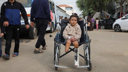 صیہونی حکومت کے حملوں کے نتیجے میں غزہ میں روزانہ 30 فلسطینی معذوری کا شکار
