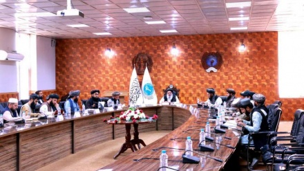 دومین نشست هماهنگی میان‌وزارتی برای اجرای قانون مبارزه با قاچاق دارو برگزار شد