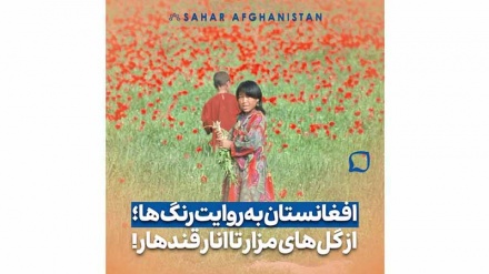 افغانستان به روایت رنگ‌ها | سرخ یعنی زندگی، عشق و ایستادگی 