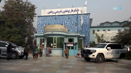 افغان ځوانان پوهنتون ته د داخلېدو په برخه کې له ستونزو سره مخ دي